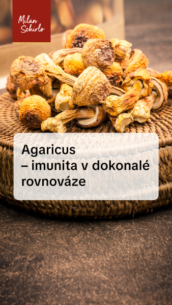 Reels_AGARICUS.jpg