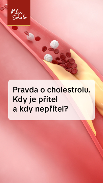 Reels_CHOLESTEROL.jpg