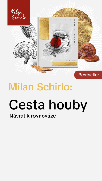 Reels_KNIHA.jpg